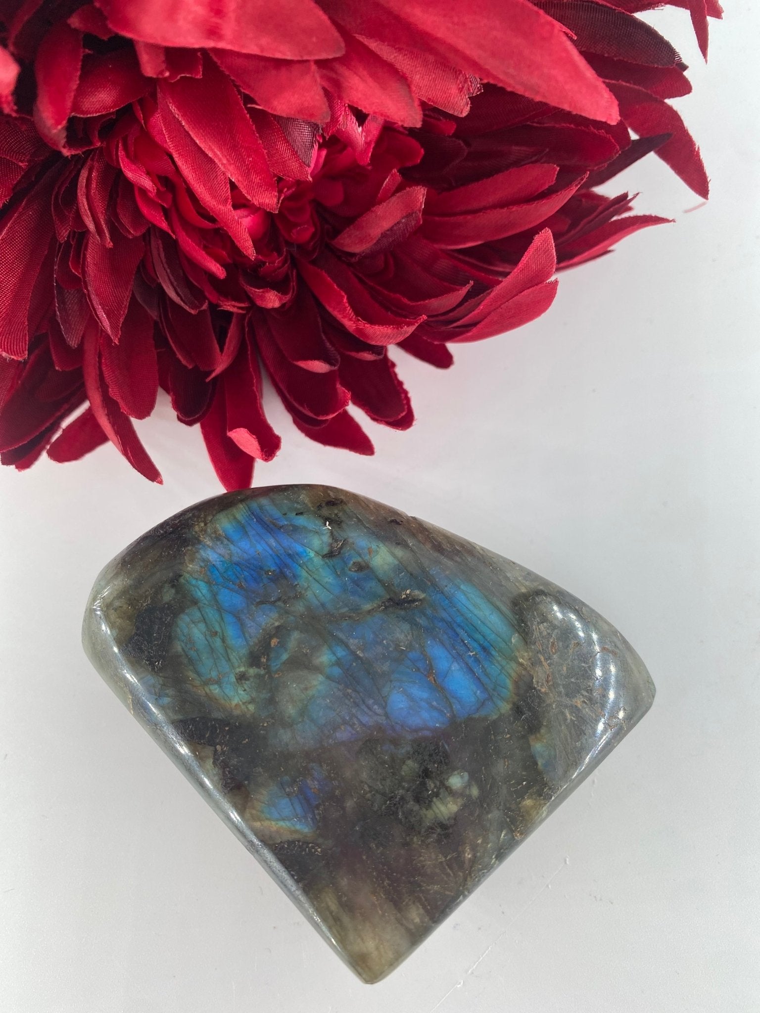 Polished Labradorite Free Form 311Grams featuring blue flash and iridescent shimmer - Luna Panther