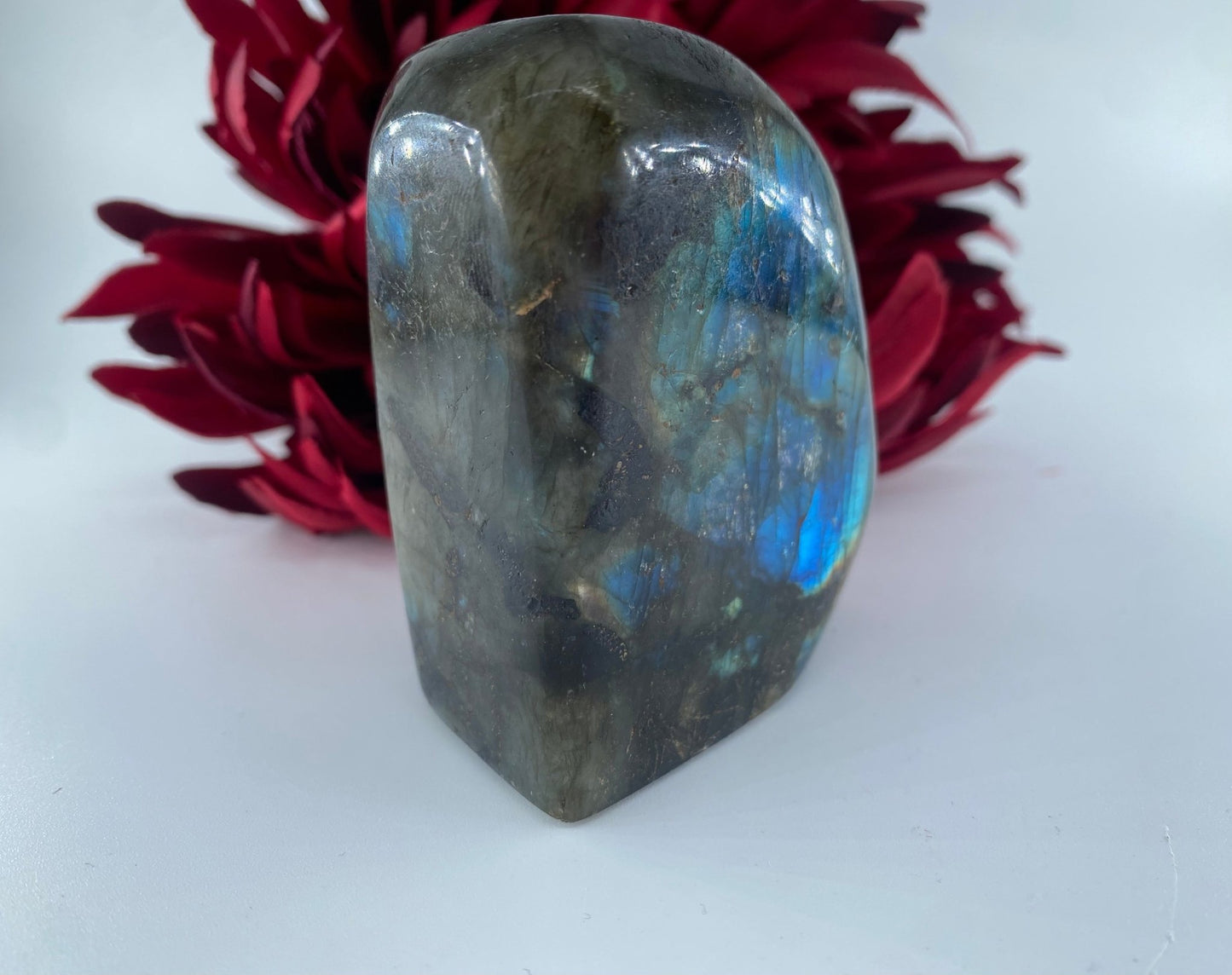 Polished Labradorite Free Form 311grams featuring blue flash and iridescent shimmer - Luna Panther