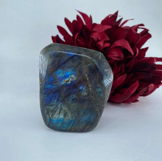 Polished Labradorite Free Form 338grams featuring blue flash and iridescent shimmer - Luna Panther