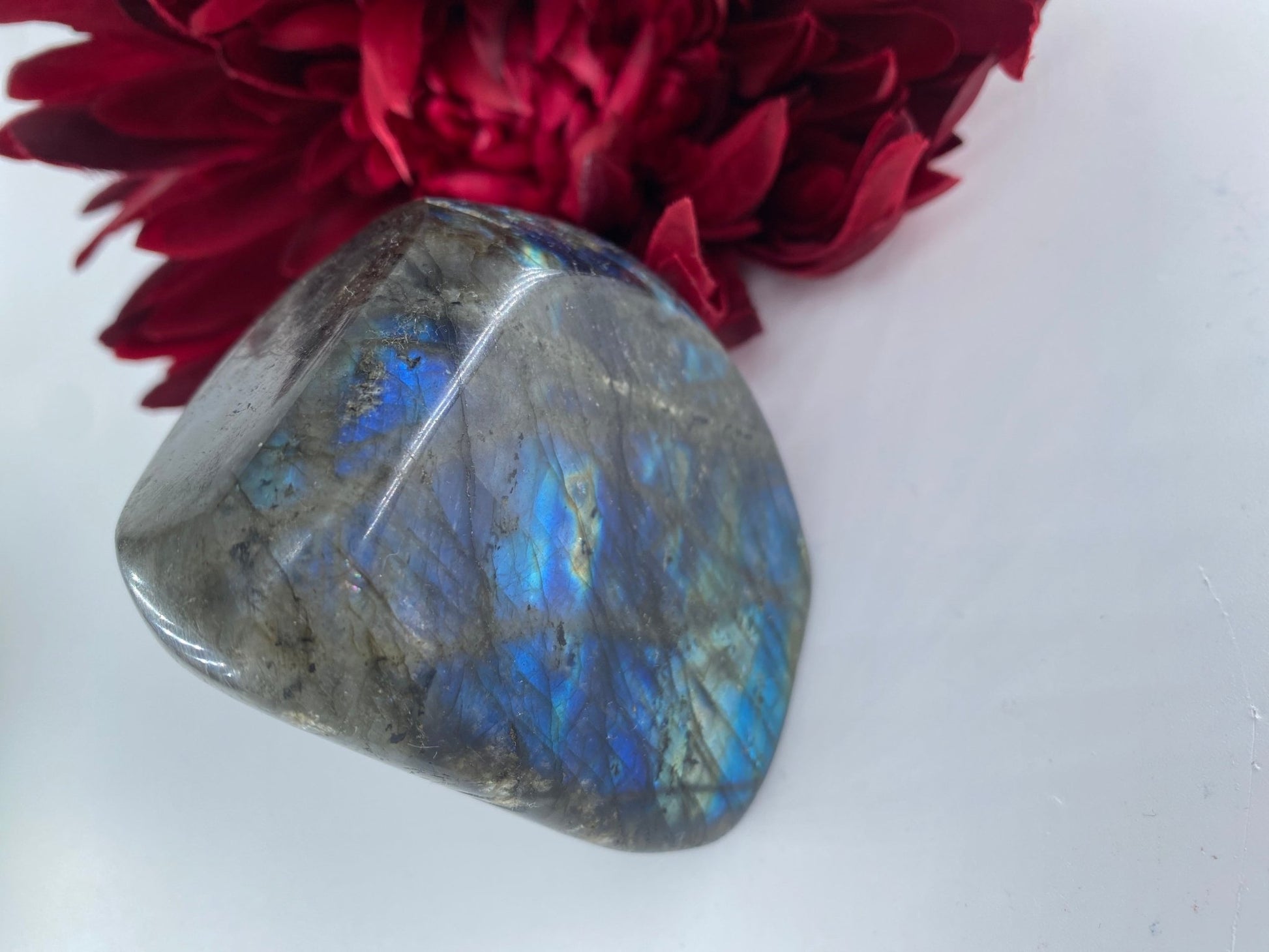 Polished Labradorite Free Form 338Grams featuring blue flash and iridescent shimmer - Luna Panther