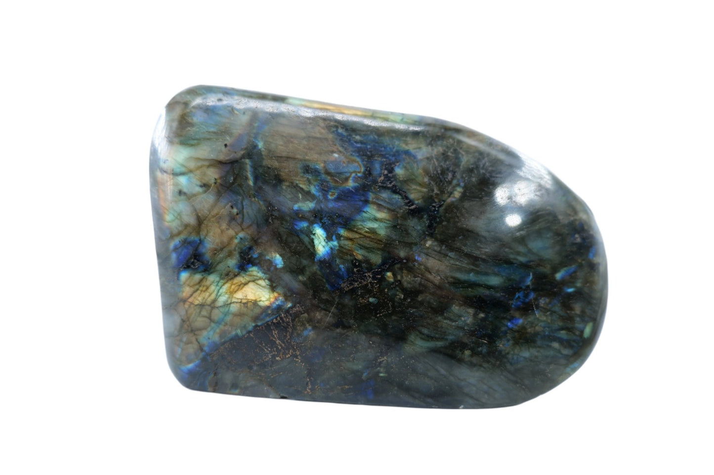 Polished Labradorite Freeform 1295G featuring blue flash and iridescent shimmer - Luna Panther