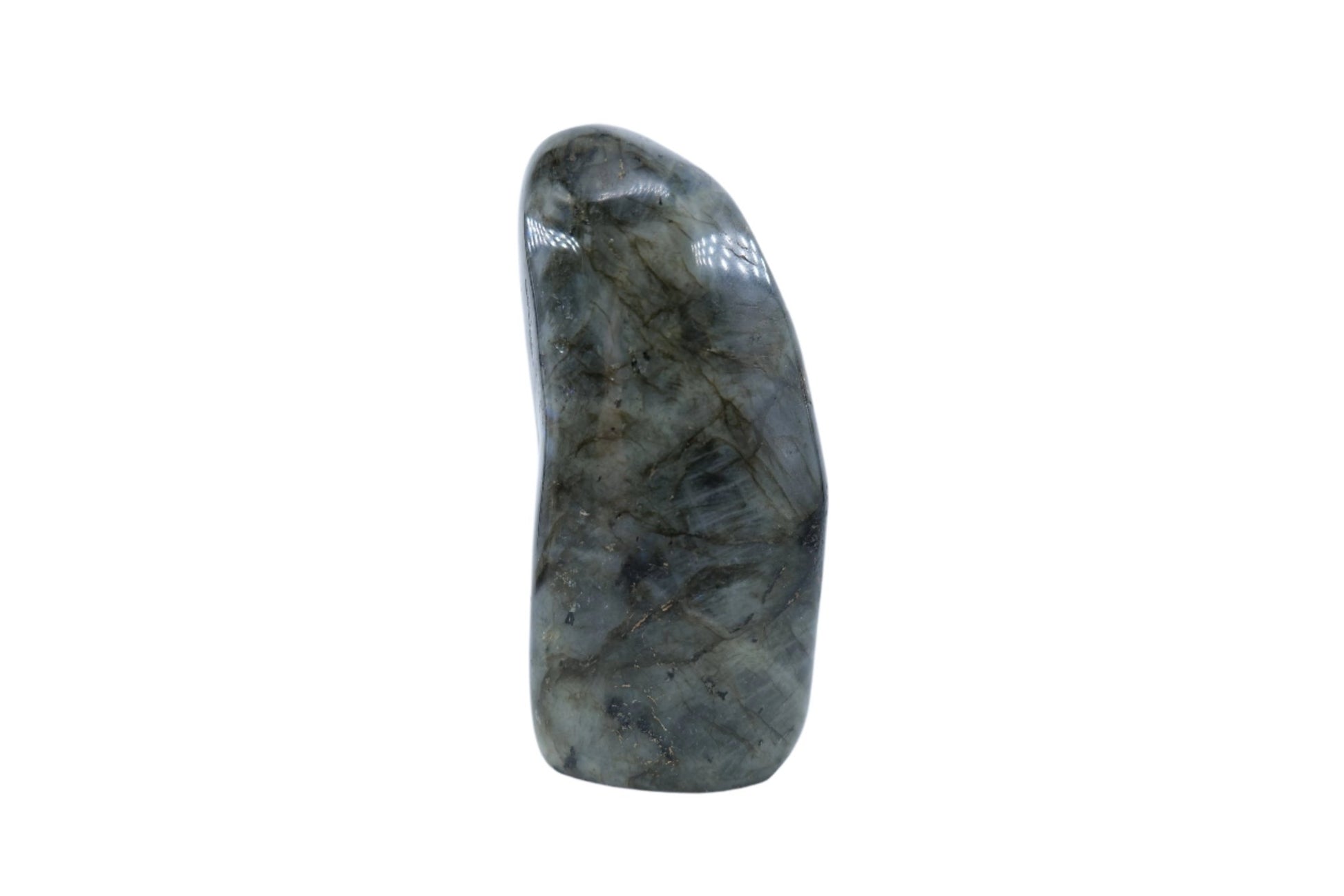 Polished Labradorite Freeform 1417G featuring blue flash and iridescent shimmer - Luna Panther