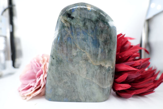 Polished Labradorite Freeform - 1480g featuring blue flash and iridescent shimmer - Luna Panther