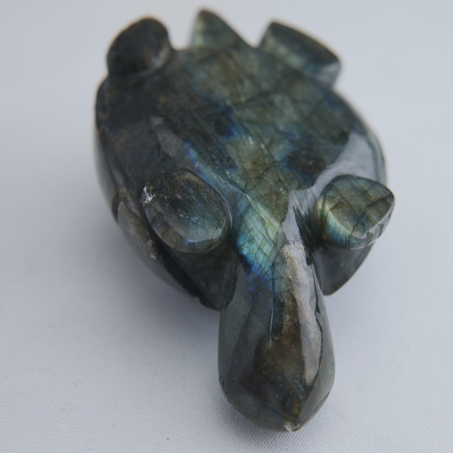 Labradorite Turtle 172g 90mm - Luna Panther