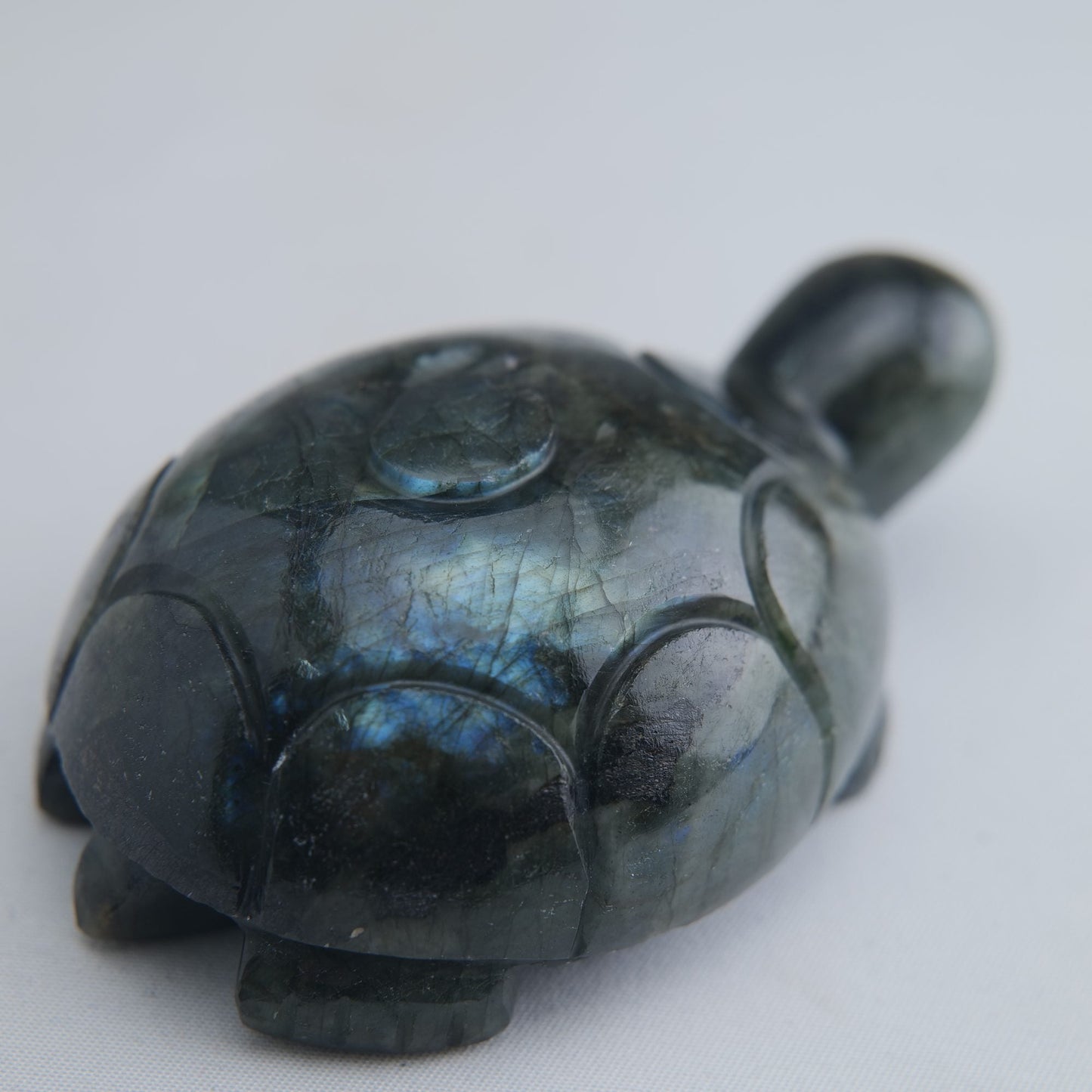 Labradorite Turtle 172g 90mm - Luna Panther