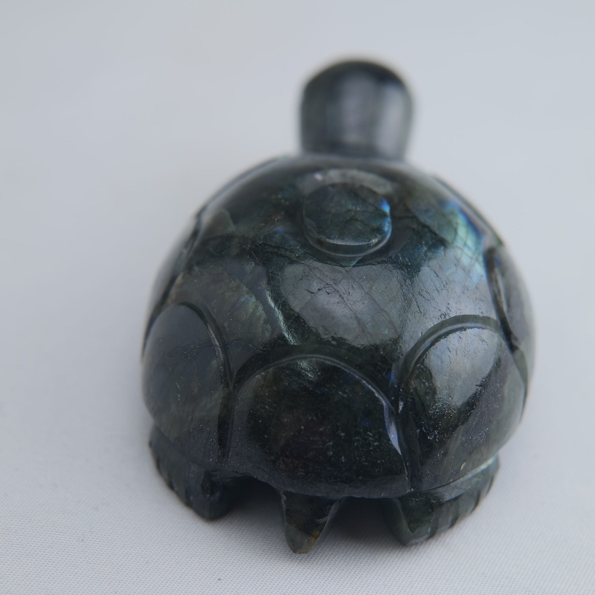 Labradorite Turtle 172g 90mm - Luna Panther