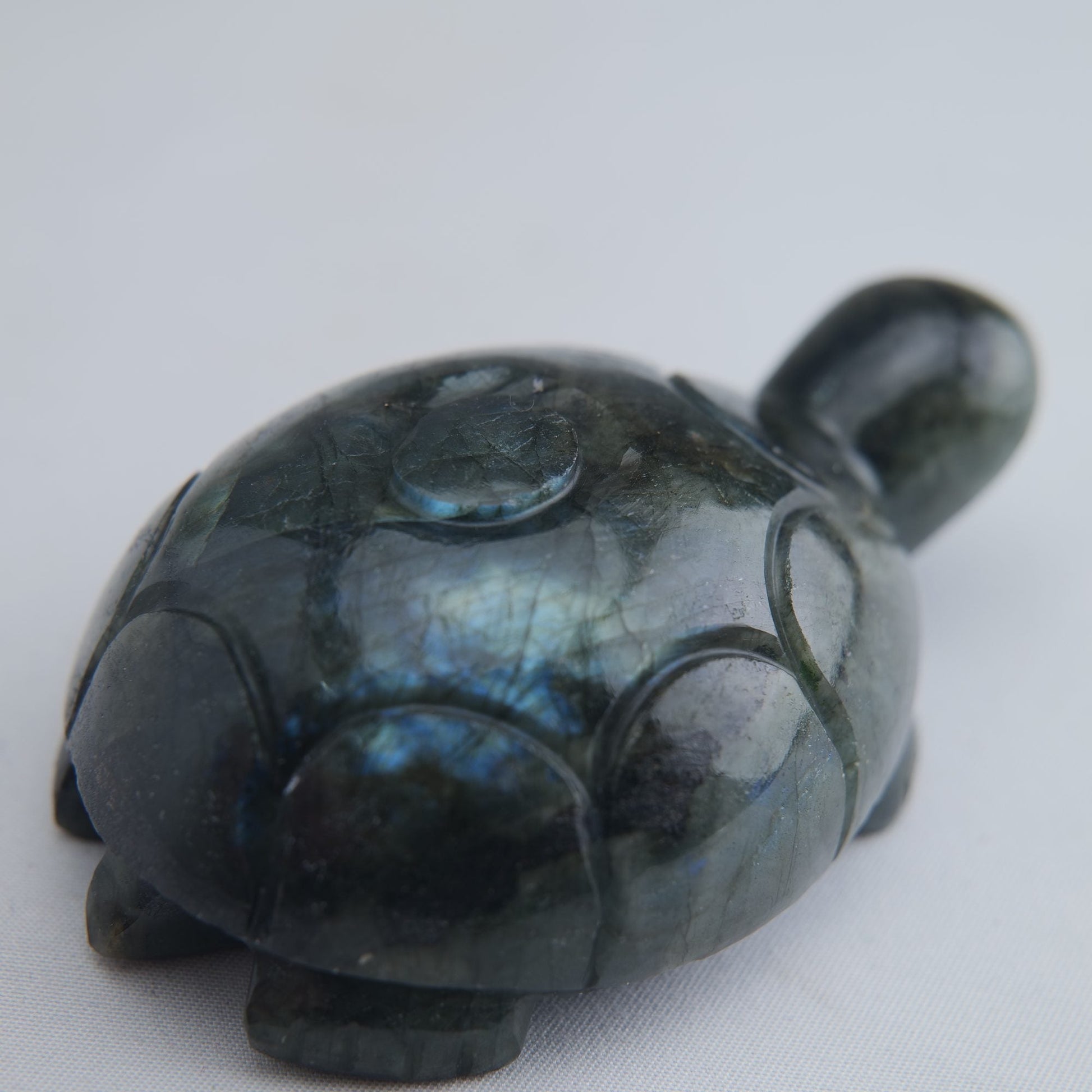 Labradorite Turtle 172g 90mm - Luna Panther