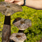Large Golden Mushroom Art - 32cm - Natural - Luna Panther