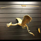 Large Natural Coconut Dragon Mobile 46cm - Luna Panther