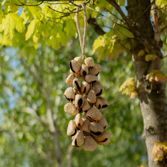 Large Pangi Seed Shell - Natural Nut Shaker (50 Shells) - Luna Panther alternate view