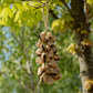 Large Pangi Seed Shell - Natural Nut Shaker (50 Shells) - Luna Panther