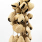 Large Pangi Seed Shell - Natural Nut Shaker (50 Shells) - Luna Panther
