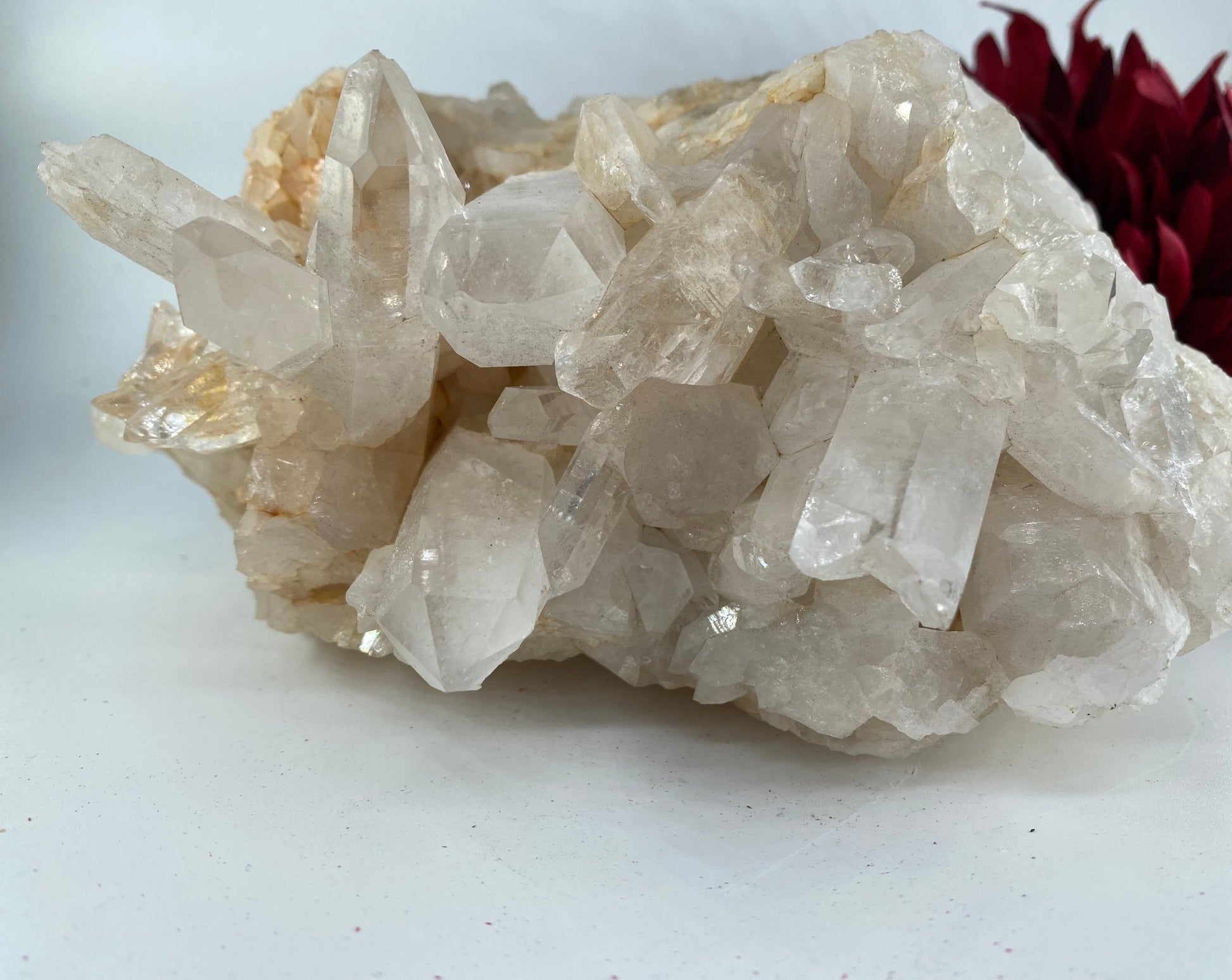 Natural Large Quartz Cluster featuring natural patterning and unique variations - Luna Panther
