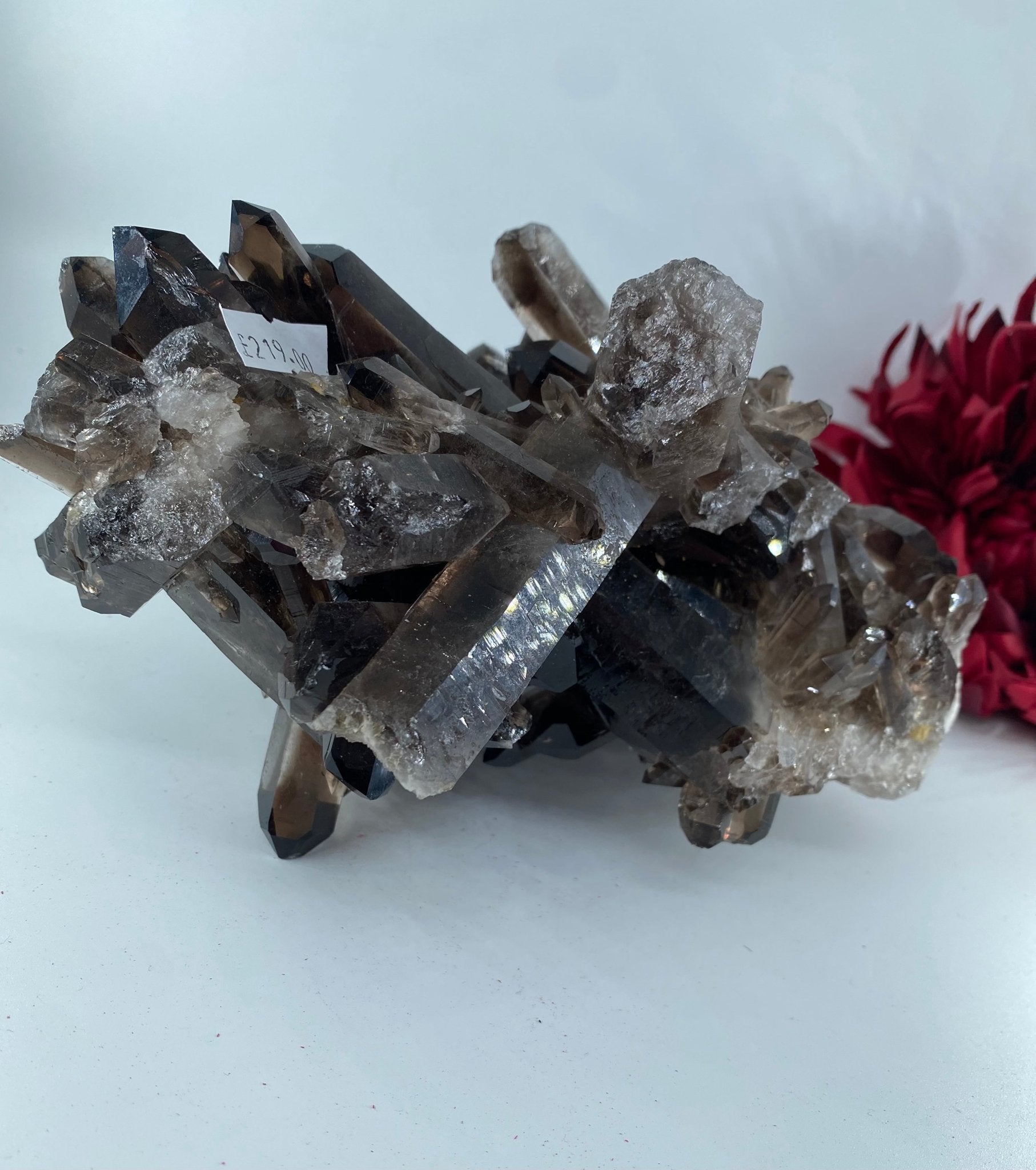 Natural Large Smokey Quartz Cluster featuring natural patterning and unique variations - Luna Panther
