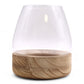Large Terrarium on Natural Tung Wood - Luna Panther