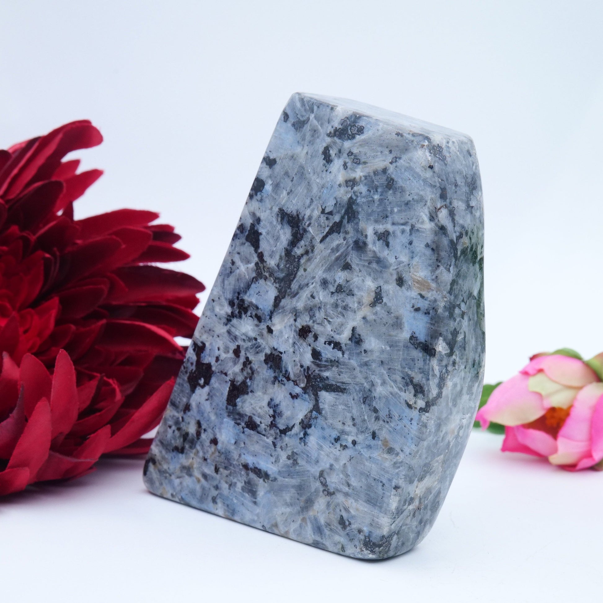 Larvikite Freeform — 548 g (105 × 85 mm) - Luna Panther