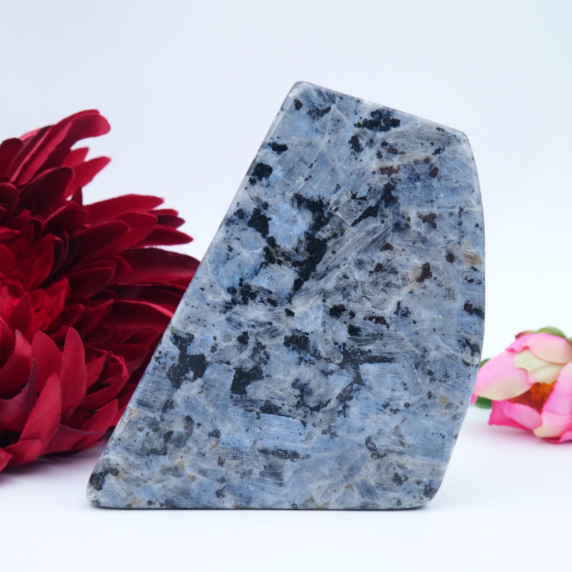 Larvikite Freeform — 548 g (105 × 85 mm) - Luna Panther