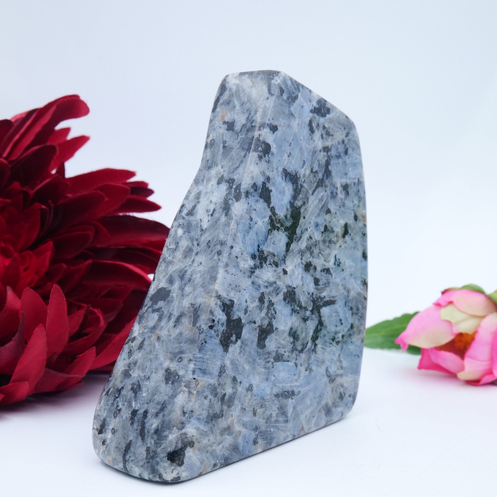 Larvikite Freeform — 548 g (105 × 85 mm) - Luna Panther