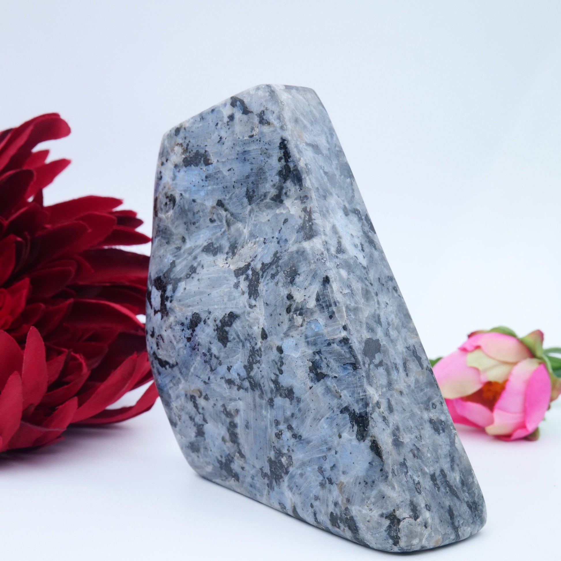 Larvikite Freeform — 548 g (105 × 85 mm) - Luna Panther