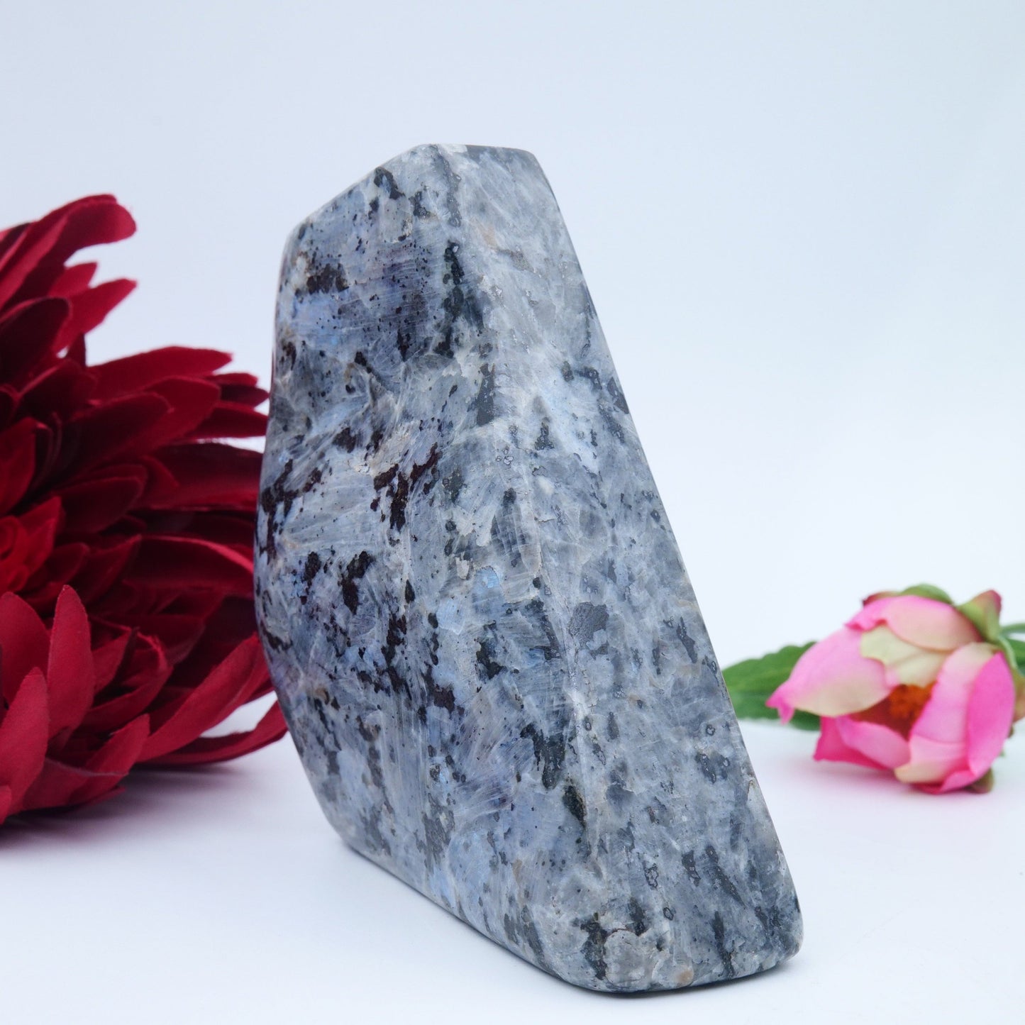 Larvikite Freeform — 548 g (105 × 85 mm) - Luna Panther