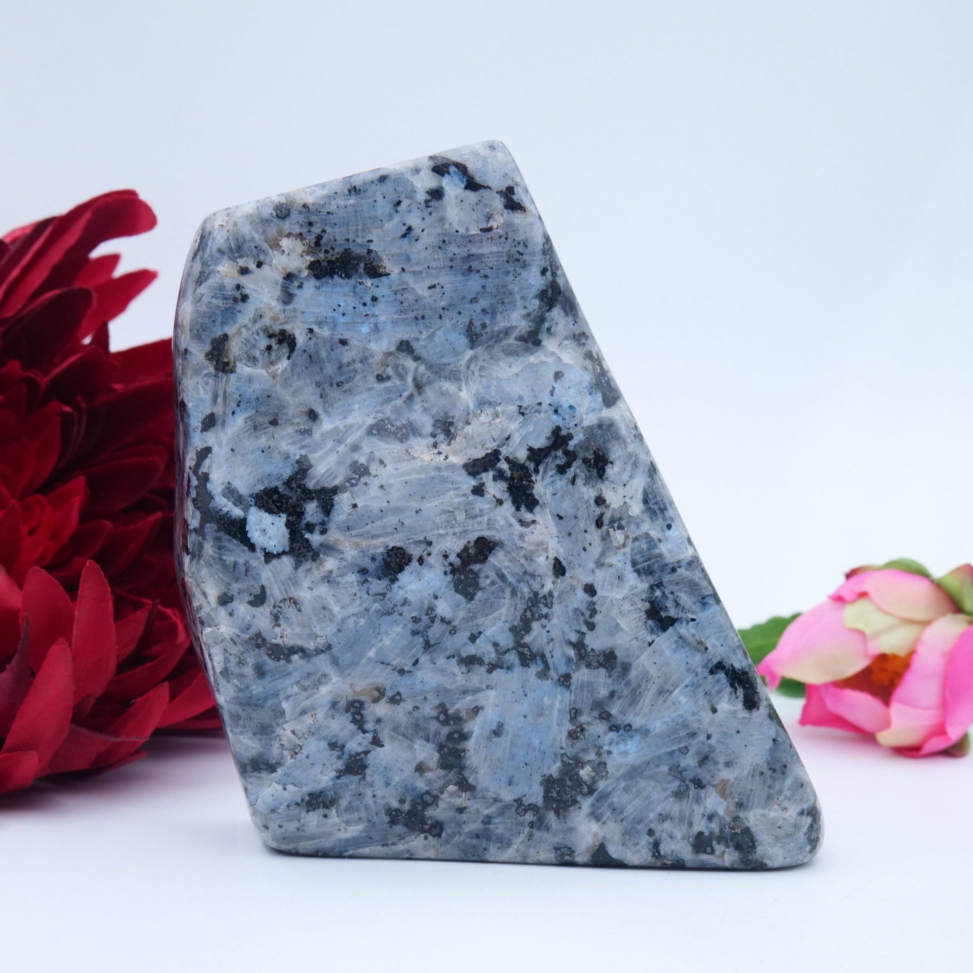 Larvikite Freeform — 548 g (105 × 85 mm) - Luna Panther