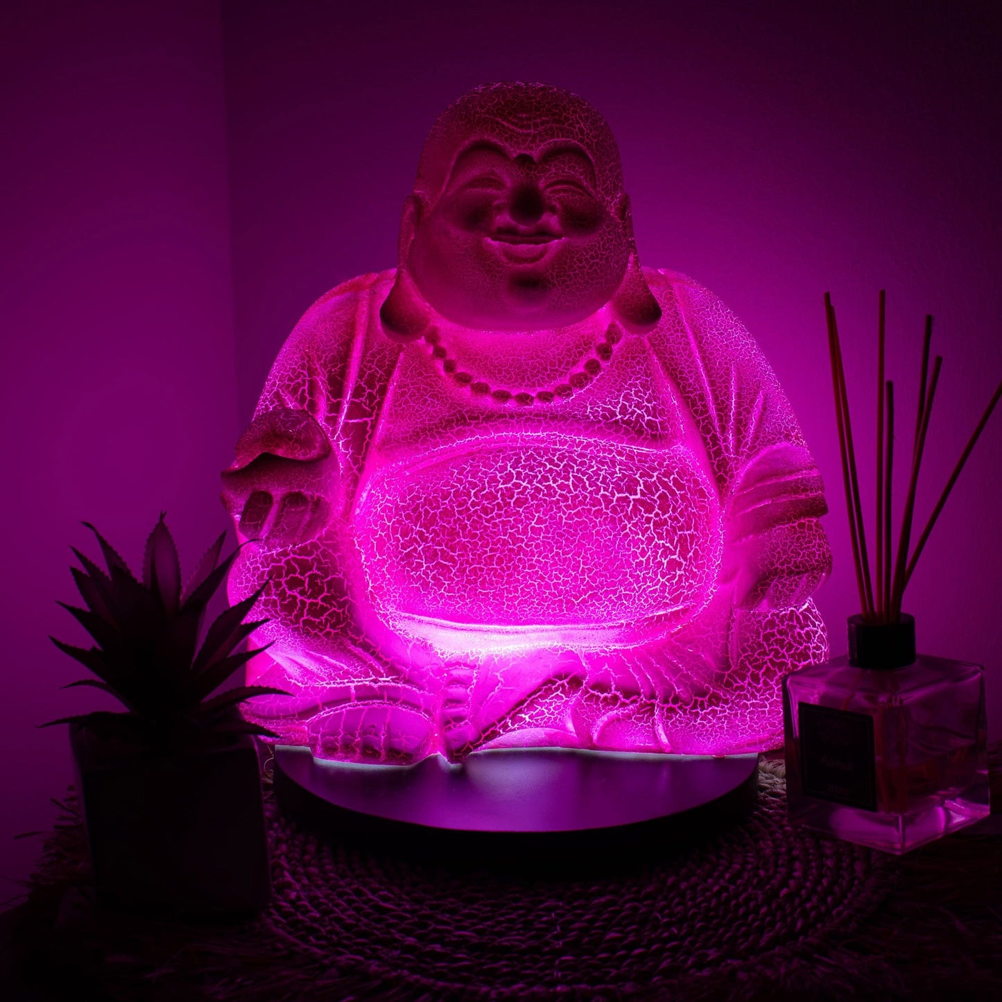 Laughing Buddha Lamp Dragonfruit - Round Stand - Luna Panther