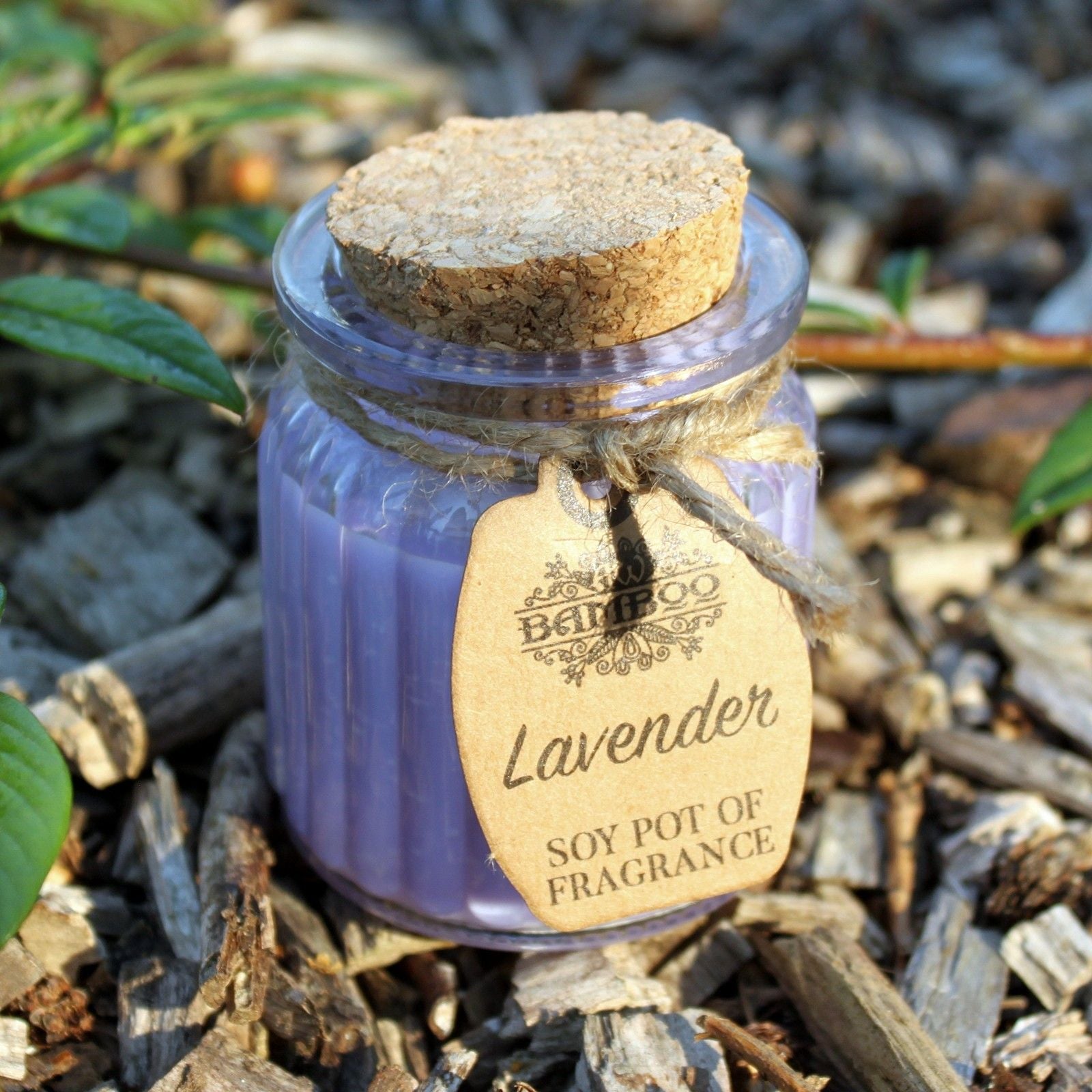 Lavender Soy Pot of Fragrance Candles - Luna Panther