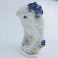 Lazurite Specimen — 15.66g - Luna Panther