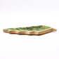 Lost in the Forest - Enamel Leaf Wooden Bowl - 33x17cm - Luna Panther
