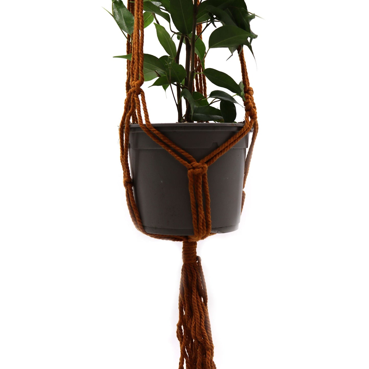 Macrame Pot Holder Classic - Chocolate Medium Pot - Luna Panther
