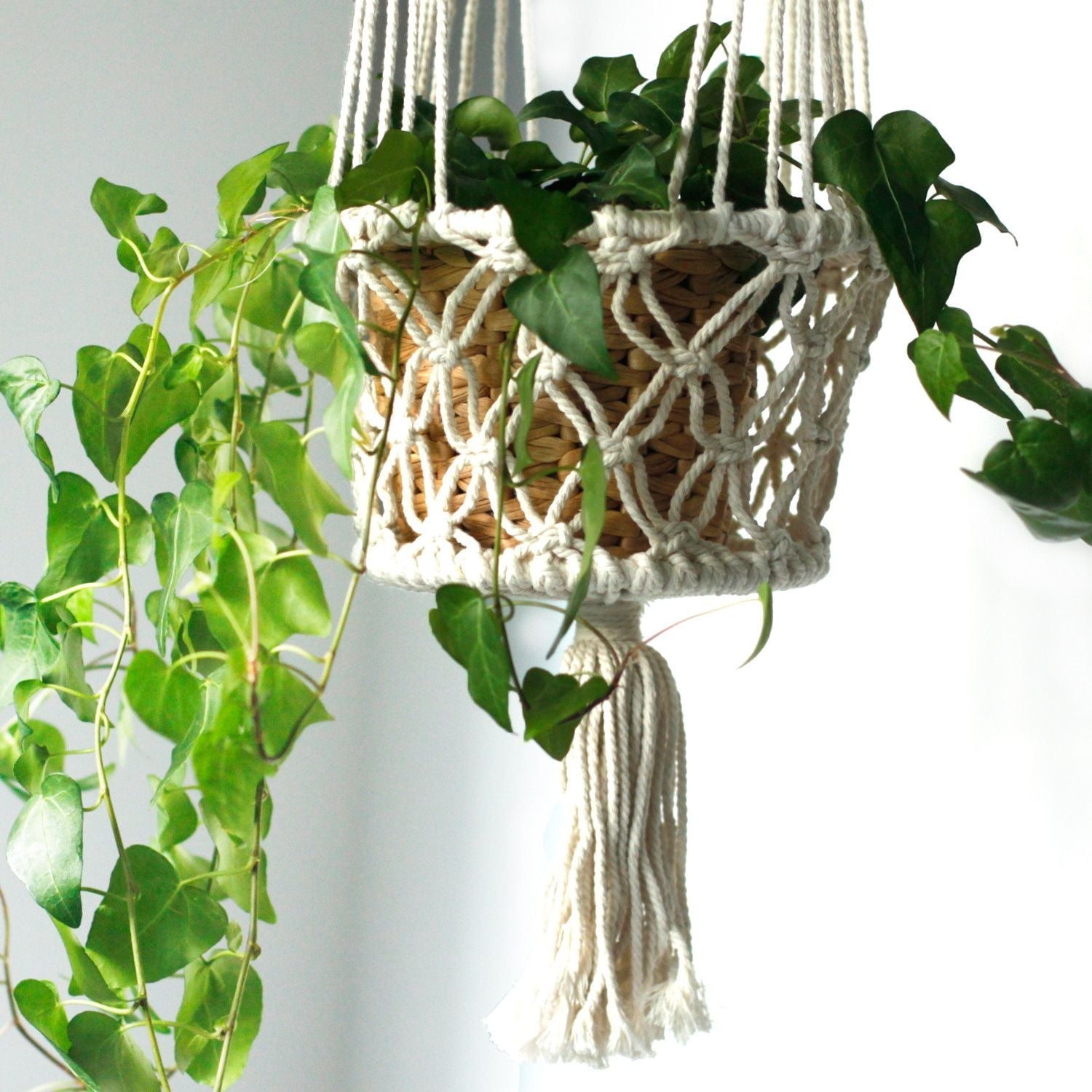 Macrame Pot Holder - Double Holder - Luna Panther