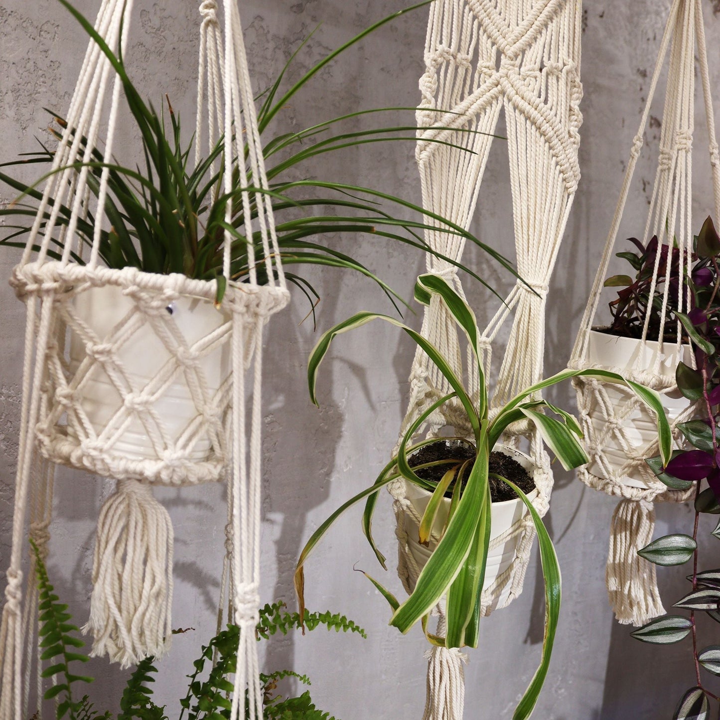 Macrame Pot Holder - Double Holder - Luna Panther
