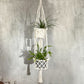 Macrame Pot Holder - Double Holder - Luna Panther