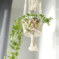 Macrame Pot Holder - Double Holder - Luna Panther