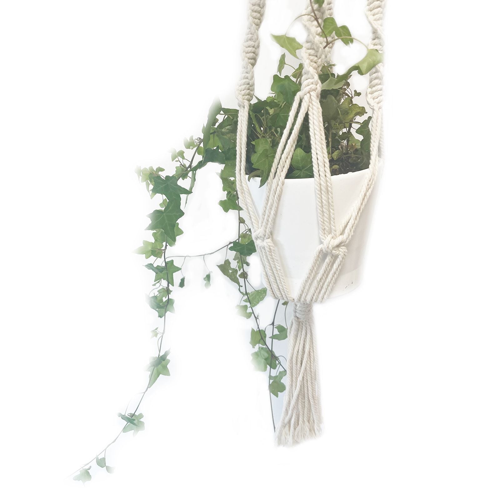 Macrame Pot Holder - Large Pot Holder - Extra Long - Luna Panther