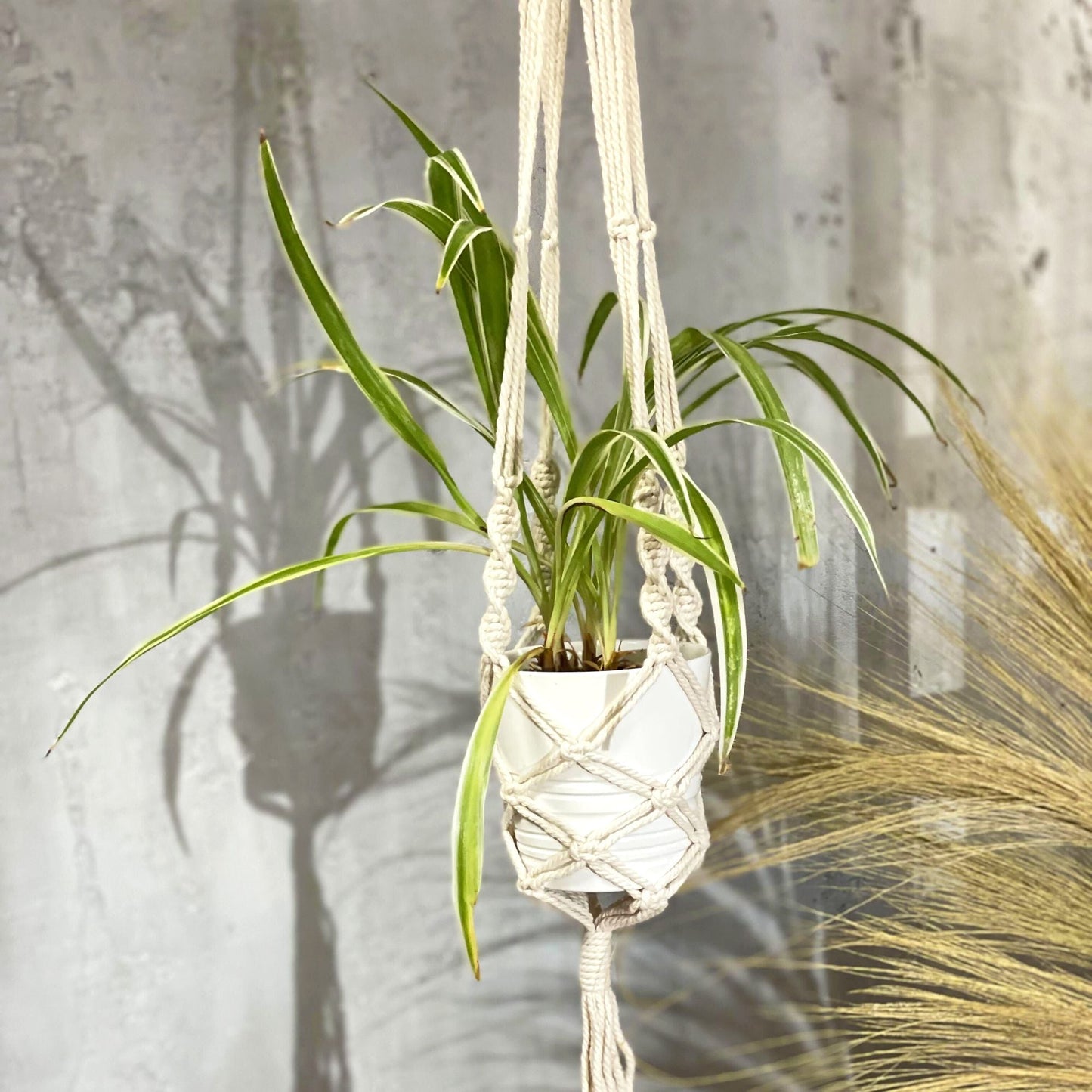 Macrame Pot Holder - Large Pot Holder - Extra Long - Luna Panther