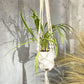 Macrame Pot Holder - Large Pot Holder - Extra Long - Luna Panther