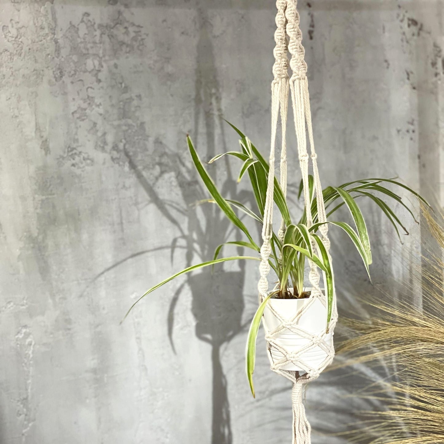 Macrame Pot Holder - Large Pot Holder - Extra Long - Luna Panther