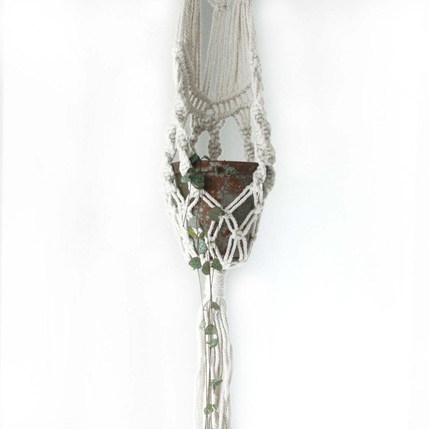 Macrame Pot Holder - Long With Rattan Hoop - Luna Panther