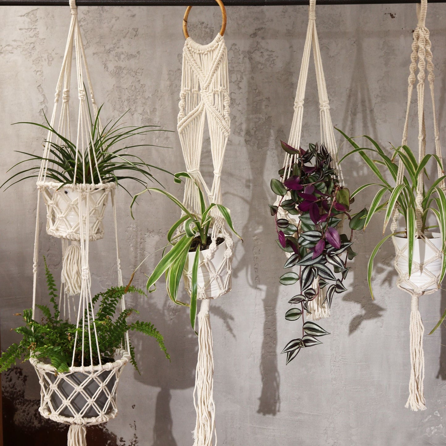 Macrame Pot Holder - Long With Rattan Hoop - Luna Panther