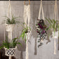 Macrame Pot Holder - Long With Rattan Hoop - Luna Panther