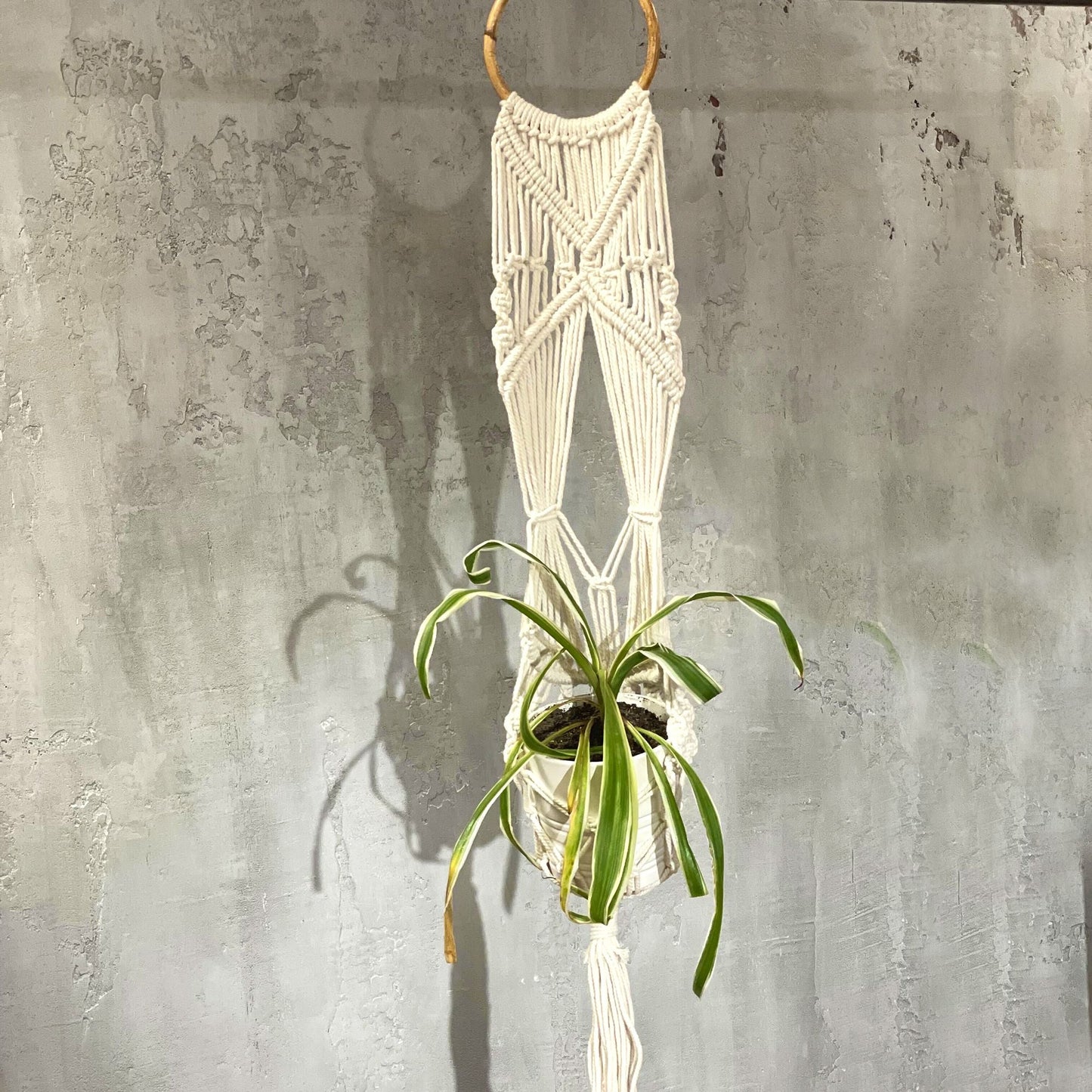 Macrame Pot Holder - Long With Rattan Hoop - Luna Panther