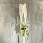 Macrame Pot Holder - Long With Rattan Hoop - Luna Panther