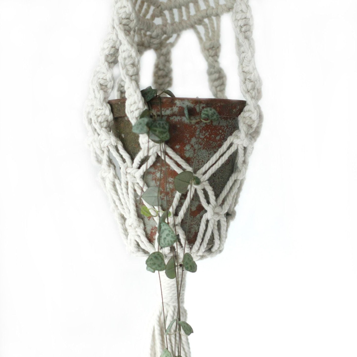Macrame Pot Holder - Long With Rattan Hoop - Luna Panther