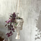 Macrame Pot Holder - Single Small Pot - Luna Panther