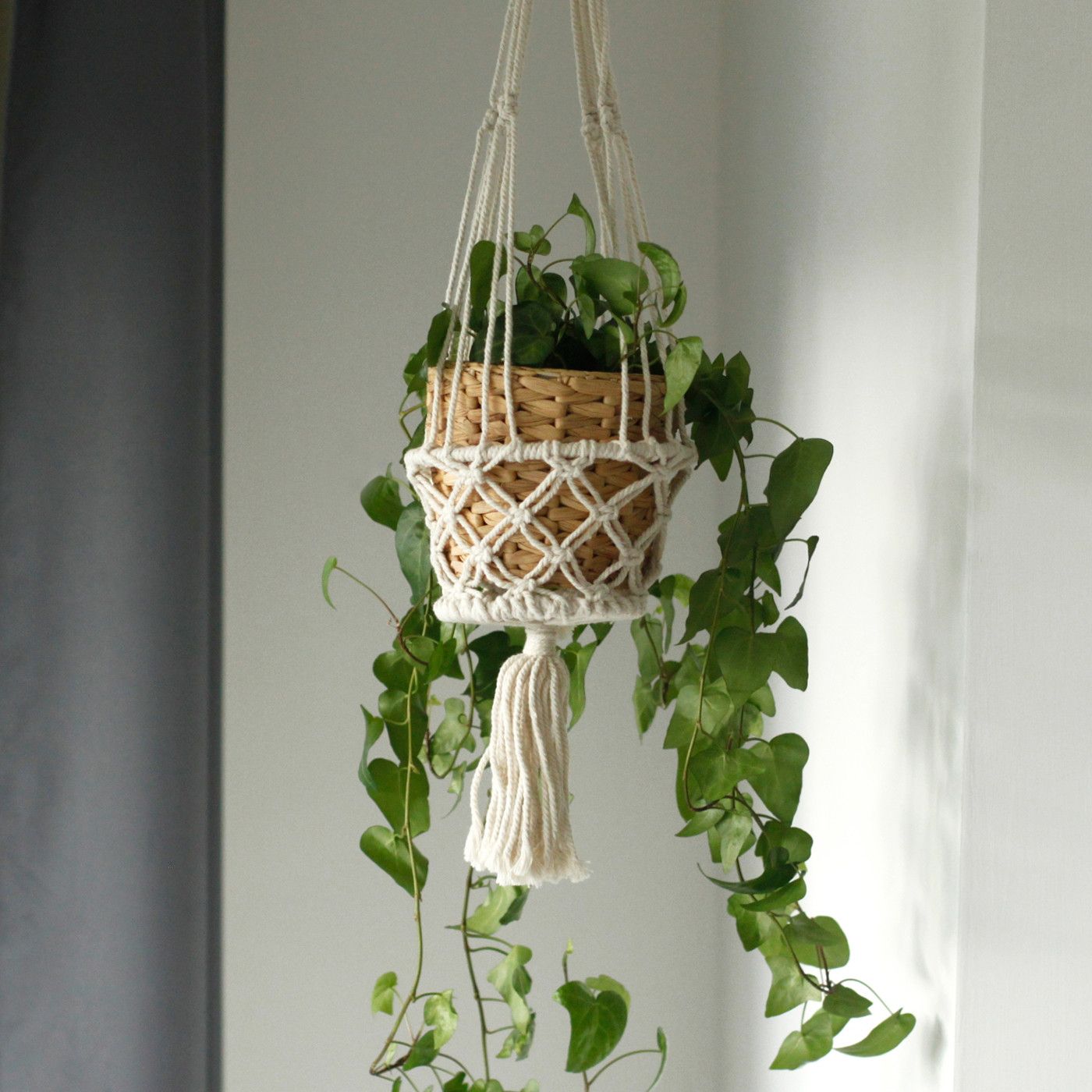Macrame Pot Holder - Single Small Pot - Luna Panther