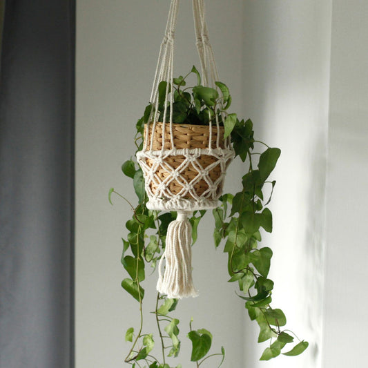 Macrame Pot Holder - Single Small Pot - Luna Panther
