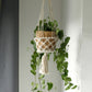 Macrame Pot Holder - Single Small Pot - Luna Panther