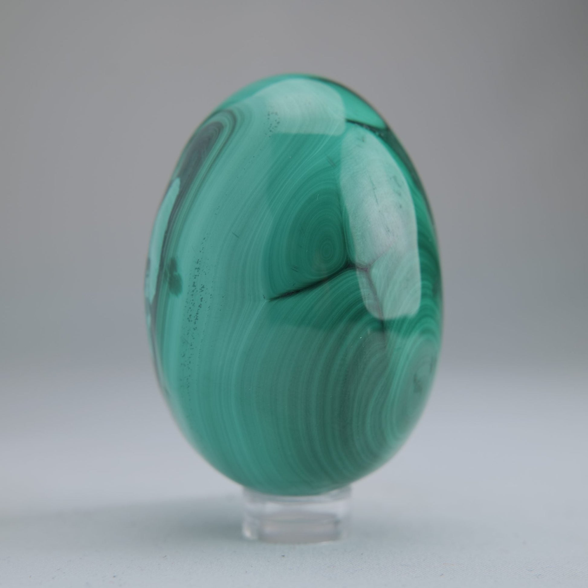 Malachite Egg Congo 260g 64mm - Luna Panther