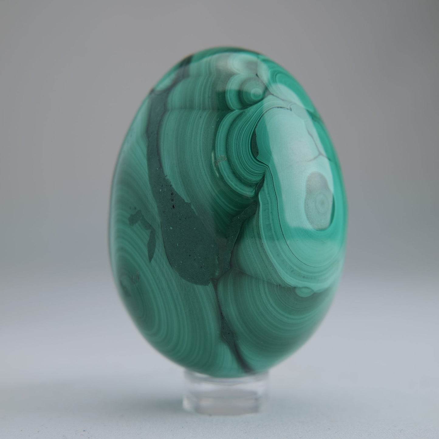 Malachite Egg Congo 260g 64mm - Luna Panther